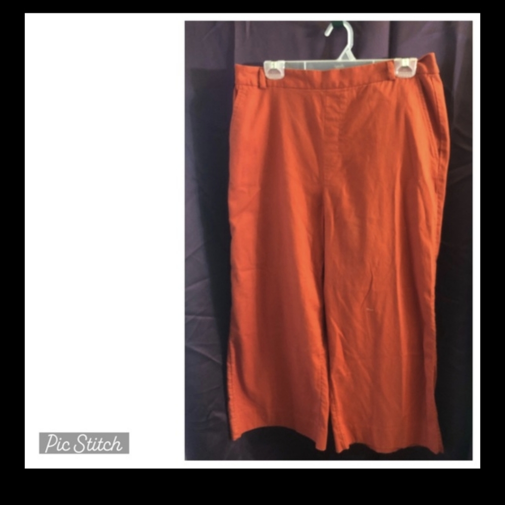 Banana Republic ladies plus size pants